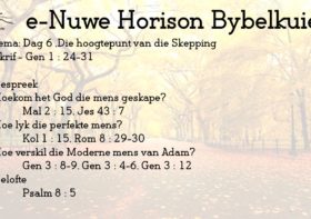 Dag 6 – Die hoogtepunt van die Skepping