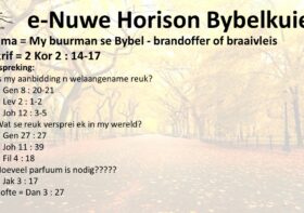 My buurman se Bybel – brandoffer of braaivleis