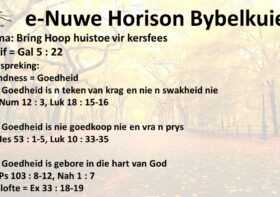 Bring Hoop huistoe vir kersfees – 1