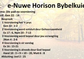 Die pad na voorsiening