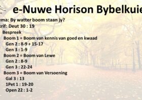 By watter boom staan jy?