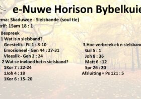 Skaduwee – Skaduwee – Sielsbande (soul tie)