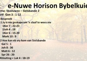 Skaduwee – Sielsbande 2