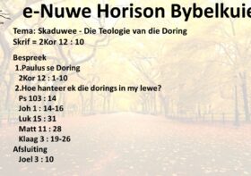 Skaduwee – Die Teologie van die Doring