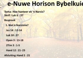 Hoe hanteer ek ‘n Narsis?