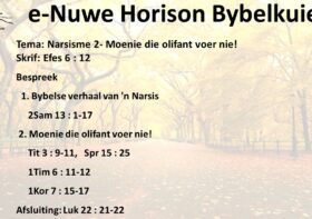 Narsisme 2- Moenie die olifant voer nie!