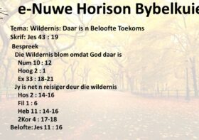 Wildernis- Daar is ‘n Beloofte Toekoms