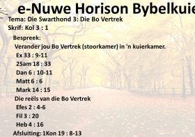 Die Swarthond 3: Die Bo Vertrek