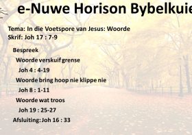 In die Voetspore van Jesus: Woorde