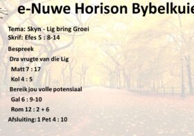 Skyn – Lig bring Groei
