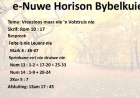 Vreesloos- Vreesloos- maar nie ‘n Volstruis nie