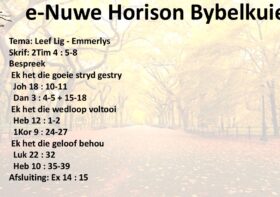 Leef Lig: Emmerlys